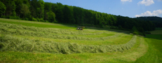Biogas plants using grass 
